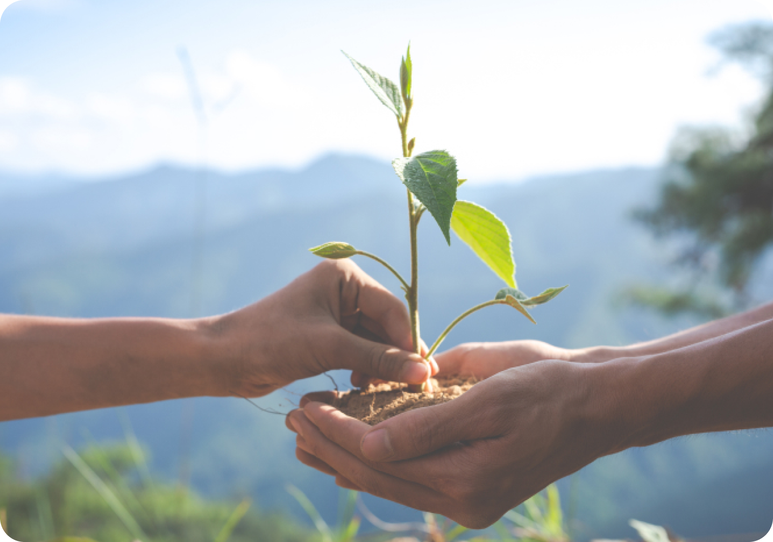 z6com·尊龙电源公益基金会